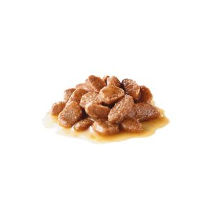 پوچ گربه مسن رویال کنین Ageing بالای 12 سال