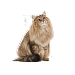 پوچ گربه هربال کر رویال کنین Hairball Care