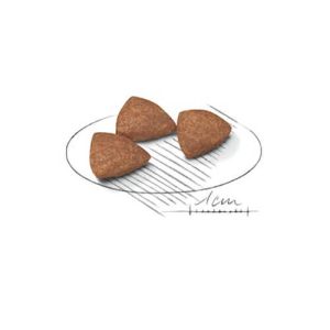 غذای خشک سگ رویال کنین مینی ایندور Mini Indoor Adult