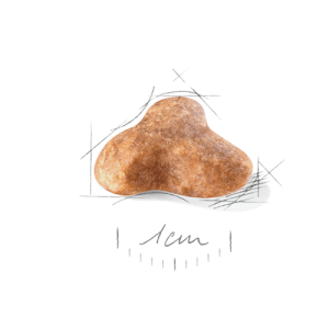 غذای خشک سگ رویال کنین پاگ Pug Adult