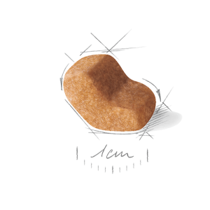 غذای خشک سگ رویال کنین شیتزو Shih Tzu Adult