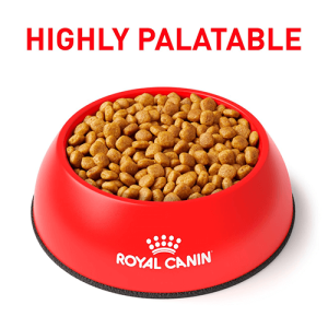 غذای خشک سگ رویال کنین یورینری اس او Urinary SO