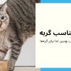 راهنمای انتخاب غذای مناسب برای گربه ها