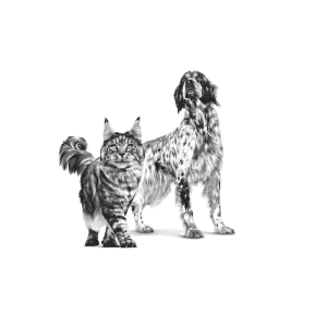 کنسرو ریکاوری رویال کنین Recovery