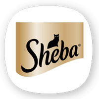 شیبا ا SHEBA
