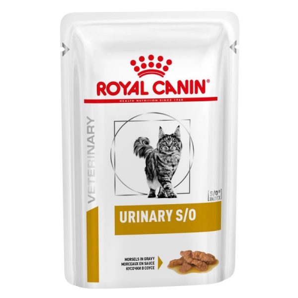 پوچ گربه یورینری رویال کنین 85 گرمی پت شاپ گاندو