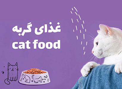 غذای خشک گربه پت شاپ گاندو