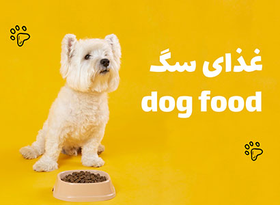 غذای سگ پت شاپ گاندو