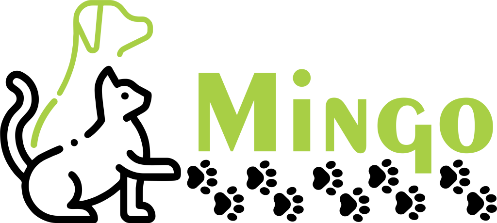 مینگو ا MINGO