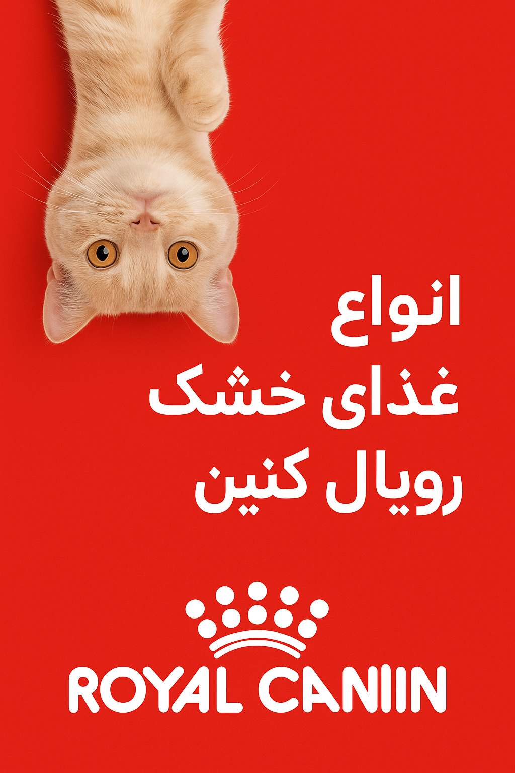 اسلایدر غذای خشک رویال کنین پت شاپ آنلاین گاندو